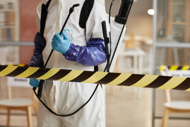 Professional Sewage Cleanup technician working in Orchard, CO